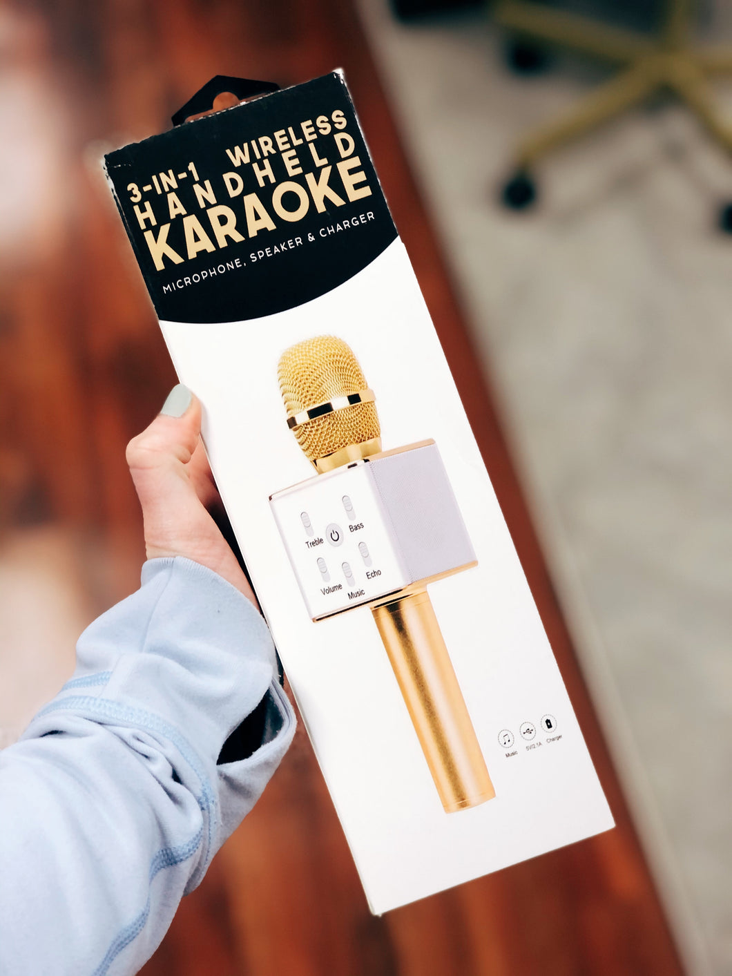Handheld Karaoke 3-in-1
